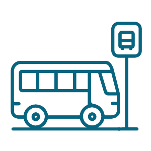 bus bus
