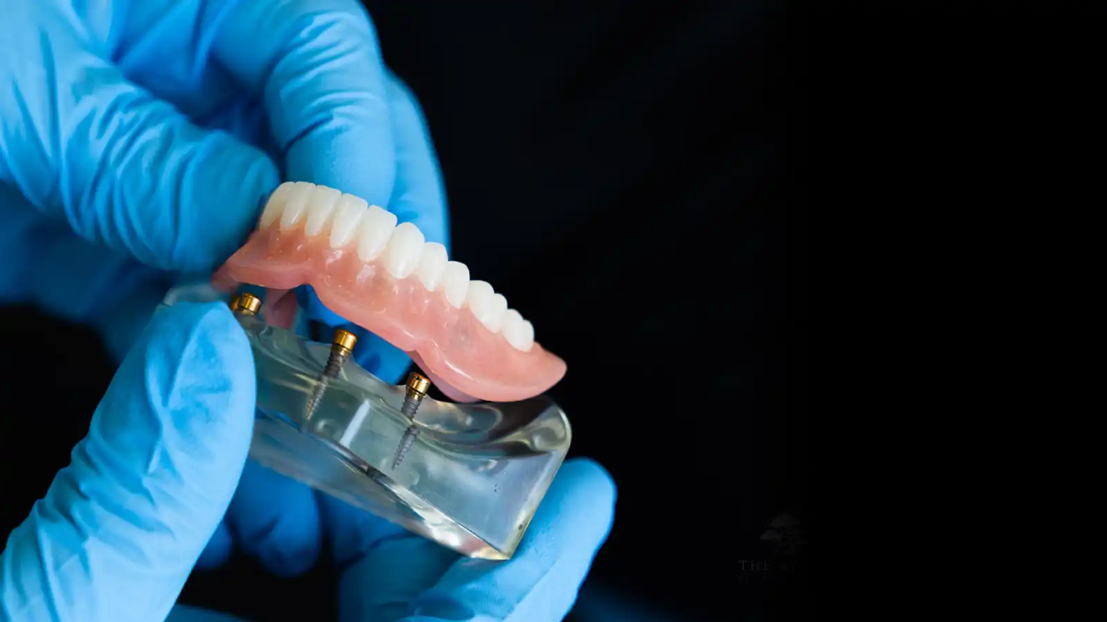 Dentist Dentis